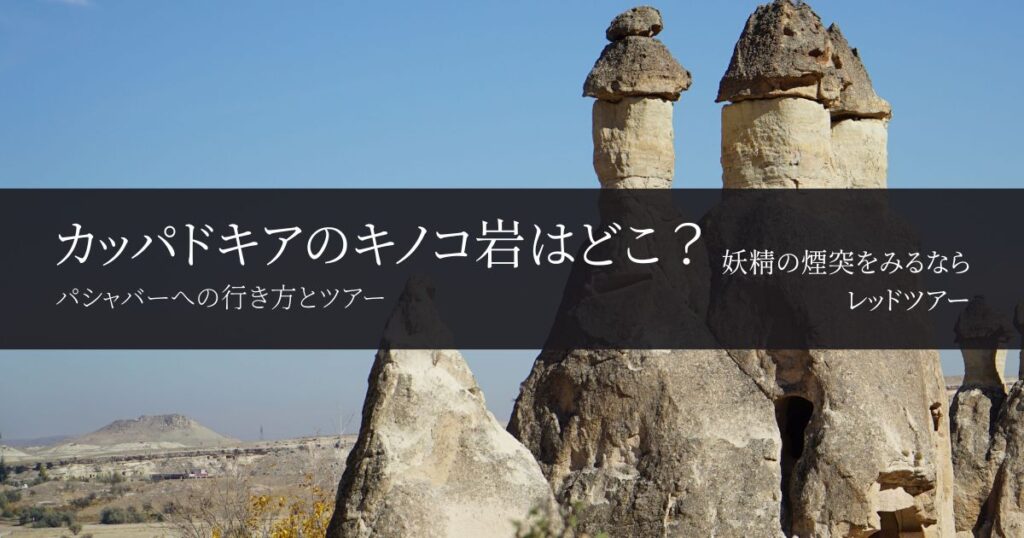 カッパドキアのキノコ岩・妖精の煙突はどこ？行き方と見られるツアー