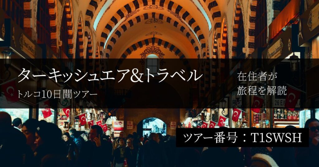 【トルコ在住者が評価】ターキッシュエア&トラベルの10日間ツアーはどう？イスタンブール3泊・自由時間の実際