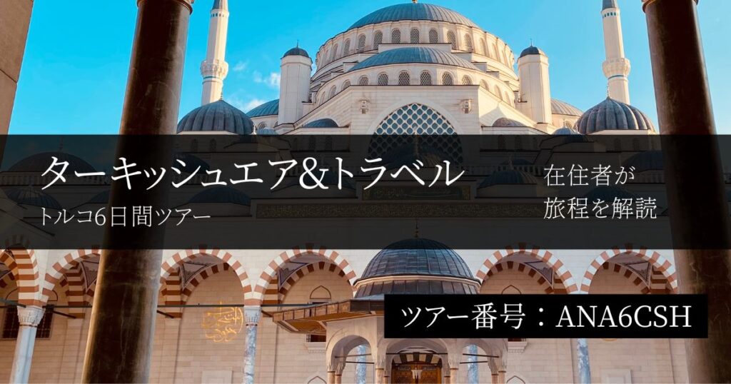 【トルコ在住者が評価】ターキッシュエア&トラベルの6日間ツアー｜遺跡を詰め込まないトルコ旅行