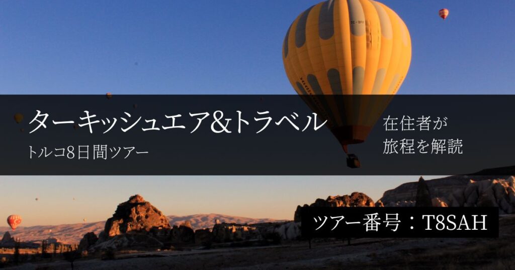 【トルコ在住者が評価】ターキッシュエア&トラベルの8日間ツアーにないもの｜世界遺産を巡る短期周遊の実際