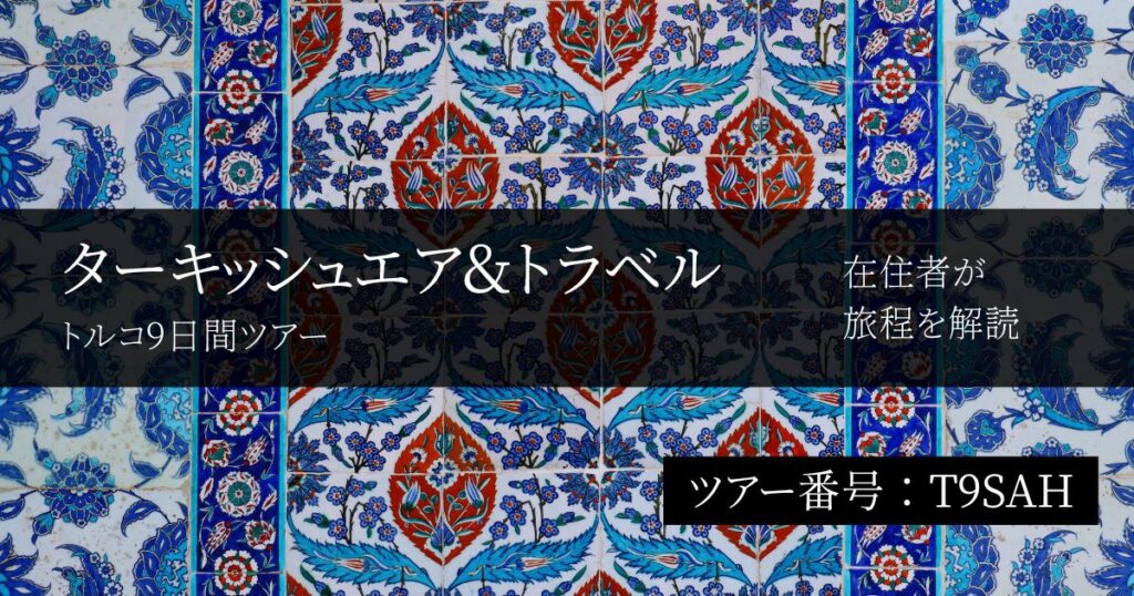 【トルコ在住者が評価】ターキッシュエア&トラベルの9日間ツアーはきつい？王道スポット・移動・ホテルを旅程順に解説
