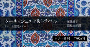 【トルコ在住者が評価】ターキッシュエア&トラベルの9日間ツアーはきつい?王道スポット・移動・ホテルを旅程順に解説
