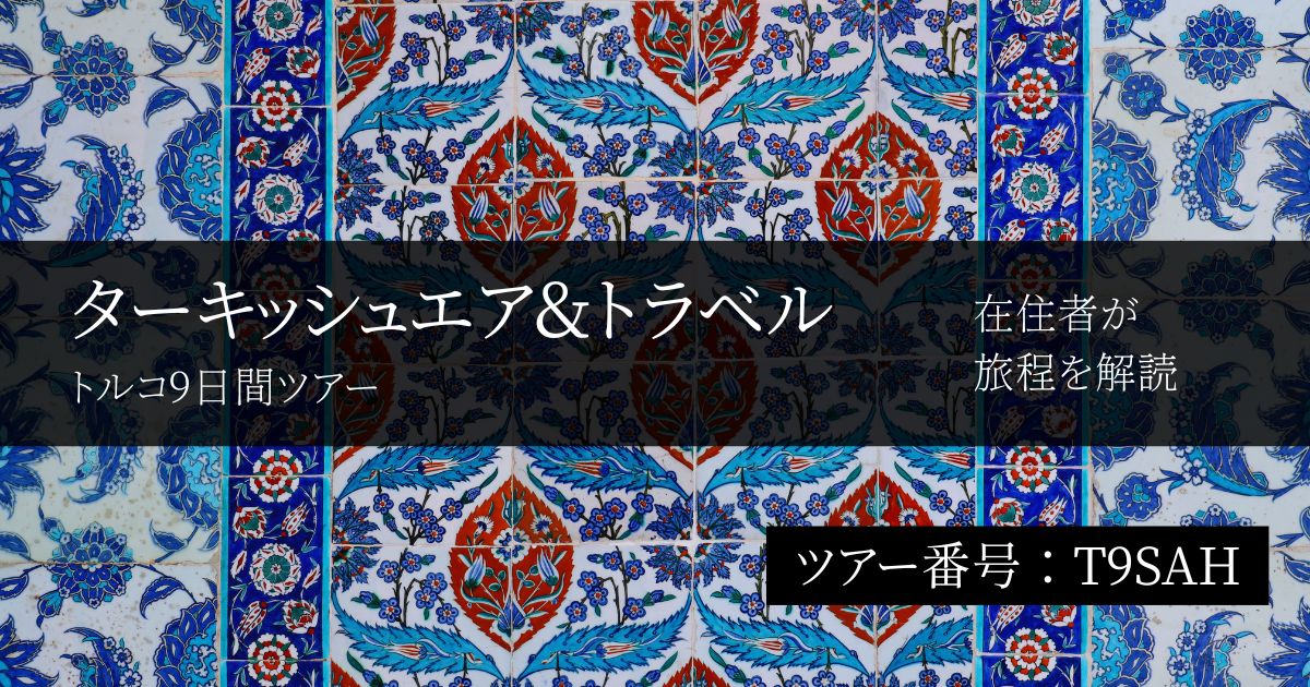 【トルコ在住者が評価】ターキッシュエア&トラベルの9日間ツアーはきつい?王道スポット・移動・ホテルを旅程順に解説